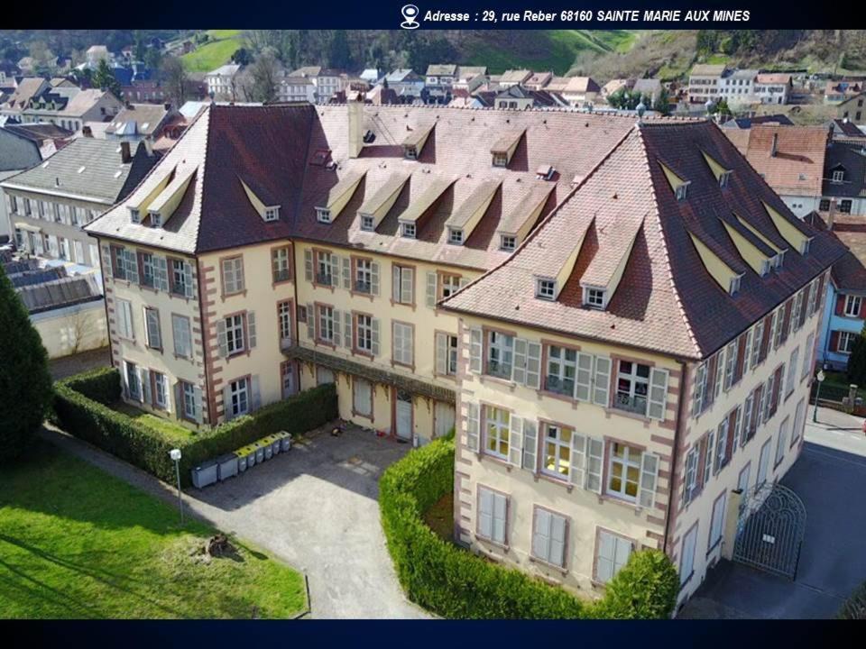 Aux Souvenirs D'Anaelle Gites 5 Personnes Sainte-Marie-aux-Mines Exterior photo